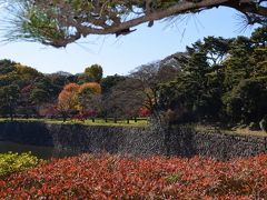 【天皇陛下傘寿記念 「乾通り」一般公開と都内紅葉めぐり】　③