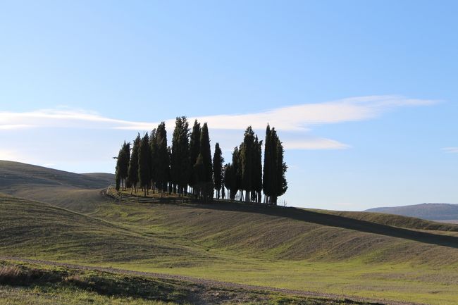 2014.12～2015.01　真冬のイタリア旅行記　６日目。。。<br /><br /><br />本日は一日世界遺産オルチャ渓谷へのツアーです。<br />サン・クイリコ・ドルチャ、ピエンツァ、モンティッキエッロ、モンタル<br />チーノを巡ります。<br /><br />憧れのオルチャ渓谷への訪問がこんなに早く実現するとは思わなかった～！！<br />嬉しい誤算です。<br /><br />1/1の行動というのは、どこもここもクローズしていますので頭を悩ませるのですが、<br />今回は公共の交通機関を使っては行きにくいオルチャ渓谷へのツアーに参加する事にしました。<br /><br />最初、1/1にツアーを行っていただけるのかと不安を抱きながら“easyfirenze.com”さんへメールをした所、快諾していただけました。<br />ここで安心してしまった我家、しばらくeasyfirenze.com”さんへ返信しないという失礼な事をしました。。。<br /><br />出発が近づいた１２月、再度“easyfirenze.com”さんへメールで依頼した所、<br />OKとの事で安心しました。<br /><br /><br /><br />★“easyfirenze.com”<br />　　http://www.easyfirenze.com/index.html<br /><br /><br /><br /><br /><br /><br />[日程]<br />12/27　羽田→パリ→ミラノ　　　　　　　　　　　　　　[ミラノ泊]<br />vol.1 http://4travel.jp/travelogue/10967513<br /><br />12/28　ミラノ→アッシジ　　　　　　　　　　　　　　　[アッシジ泊]<br />vol.2 ミラノ散策 http://4travel.jp/travelogue/10969015 <br />vol.3 ミラノ→アッシジ http://4travel.jp/travelogue/10971407　　　　　　　　　　　　　　　　　　　　　　　　　　　　　　<br /><br />12/29　アッシジ　　　　　　　　　　　　　　　　　　　[アッシジ泊]<br />vol.4 アッシジ散策① http://4travel.jp/travelogue/10971409<br />vol.5 アッシジ散策② http://4travel.jp/travelogue/10969017<br />vol.6 アッシジ散策③ http://4travel.jp/travelogue/10974054<br /><br />12/30　アッシジ　　　　　　　　　　　　　　　　　　　[アッシジ泊]<br />vol.7 アッシジ散策④ http://4travel.jp/travelogue/10978638<br />vol.8 アッシジ散策⑤ http://4travel.jp/travelogue/10979459<br /><br />12/31 アッシジ→フィレンツェ　　　　　　　 　　 [フィレンツェ泊]<br />vol.9 アッシジ→フィレンツェ http://4travel.jp/travelogue/10981175<br />vol.10 フィレンツェ散策① http://4travel.jp/travelogue/10981692<br />vol.11 フィレンツェ散策② http://4travel.jp/travelogue/10981693<br /><br />01/01　オルチャ渓谷ツアー　　　　　　　　　 　　[フィレンツェ泊]<br />vol.12 サン・クイリコ・ドルチャ散策 http://4travel.jp/travelogue/10984211<br />vol.13 ピエンツァ散策 http://4travel.jp/travelogue/10986723<br />vol.14 モンティッキエッロ散策 http://4travel.jp/travelogue/10986724<br />vol.15 モンタルチーノ散策 http://4travel.jp/travelogue/10986725<br />vol.16 フィレンツェ散策③ http://4travel.jp/travelogue/10986726<br /><br /><br />01/02　フィレンツェ<br />　　　 　フィレンツェ→パリ→<br />vol.17 フィレンツェ散策④＆帰国編 http://4travel.jp/travelogue/10994695<br /><br /><br />01/03　羽田着