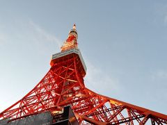 東京タワーのイルミネーションともみじ谷にて～
