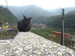 猫村＆平渓1日旅