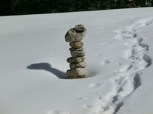 この冬は山の積雪が多いと聞いていましたが、どれくらいかを確認するために三重県にある鈴鹿の三池岳（みいけだけ。972ｍ）に登ってきました。<br /> <br />例年積雪期に気軽に登れる山として登っていますが、積雪が多い今年は気軽に登れるかちょっと心配でした。でも登山口までの林道は例年と違い、まったく雪がなく、これは予想に反して積雪が少ないかなと一安心しました。「八風キャンプ場」近くの登山口に車を置いて歩き始めます。するとすぐ20ｃｍぐらいの積雪があり、今までの様子とは大違いです。それでも空は真っ青で気温も高く、気持ちよく歩けます。駐車場には4台の車があったので、すでに何人かが前を歩いているはずで、おかげで足跡ができており、そこを歩くだけで気が楽です。まったくの新雪を歩くのは足が沈んでしまい歩きにくいからです。添付の地図は参考用で、赤線の右端が登山口です。<br /> <br />どんどん進むにしたがって積雪は深くなります。他人の足跡をたどりますが、それでも足を踏み外して深さ50ｃｍぐらいの穴に落ち込むと抜け出すのが大変です。暖かい日だまりの山歩きは最高に気分がいいものです。汗をかきながら一歩ずつ慎重に進みます。いろいろな動物の足跡が雪上に残されていて動物たちもエサを探すのに苦労しているようです。<br /> <br />苦労しながら八方峠分岐まで登りました。ここから、①八風峠まで直接登るルートと、②中峠を経由して八風峠に登るルートに別れます。最近は②のルートが変化があるのでよく歩いていますが難路です。今日②のルートを歩いた足跡はなく、古い消えかかった跡があるだけです。そのため足がズボッズボッと沈んでしまい分速数ｍののろい歩みしかできません。危険な崖のトラバース（横切ること）は木につかまらないと谷に転落してしまうので細心の注意を払いながら進みます。さて急斜面を登る場所に来ると古い足跡もまったくありません。多分、先人は諦めて戻ったようです。しばらく登ってみましたが、積雪は１ｍを越えているため、腰まで沈んでしまい歩けません。仕方なく八方峠分岐までもどることにしました。せっかくかなり登ったのにもったいないことです。<br /> <br />八方峠分岐にもどると、①のルートを登ることにしました。こちらもよく歩いた経験があるので多少は安全です。いつもの坂中地蔵の場所まできましたが、深い積雪で地蔵は見えません。雪をかいて探しましたがどうしても見つかりません。参考までに無雪期の地蔵の写真を付けました。その先に進むとやはり急斜面をトラバースする道になります。しかし急斜面からは雪がどんどん転がって落ちてきます。雪崩のようです。積雪は深くなる一方で、暖かい陽気で大規模な雪崩の危険性があります。ここで登山を中止することを決定しました。もうちょっとで八方峠なので惜しいのですが、引き返すのも勇気と割り切りギブアップです。雪の上でランチを済ませました。<br /> <br />下山時は雪がかなり融けてきており、水分を含んだ雪に変わっていました。頭上の木の上からは融けた雪が水となってシャワーのように降ってきて、ずぶ濡れになります。雨具を着ると暑いので、防水のジャンパーに着替えてシャワーをしのぎます。下りも足が沈むので慎重に歩かざるをえません。登りは歩くことだけに全神経を集中させており鳥の声も耳に入りませんでしたが、下りは余裕があるのかウソが遠くで鳴いているのが聞こえてきました。<br /> <br />無事下山しましたが、ズボンは雪がしみてずぶ濡れです。靴の中にも水が入り込み靴下も濡れていました。大変なアルバイト（登山用語。高さをかせぐために登る行為をさす。重荷や急登で多大な労力を消耗するようなときに使われる語。）でしたが、それでも大満足な山行でした。 <br /> <br />今度はもうちょっと雪が少なくなってからの春山を楽しみたいものです。