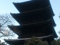 雪の東寺（その１）