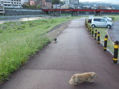 春の下呂温泉