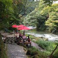 山中温泉 自噴源泉の宿 花つばきに関する旅行記 ブログ フォートラベル 山中温泉