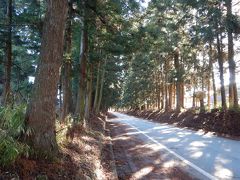 造り酒屋と杉並木を巡る日帰り旅