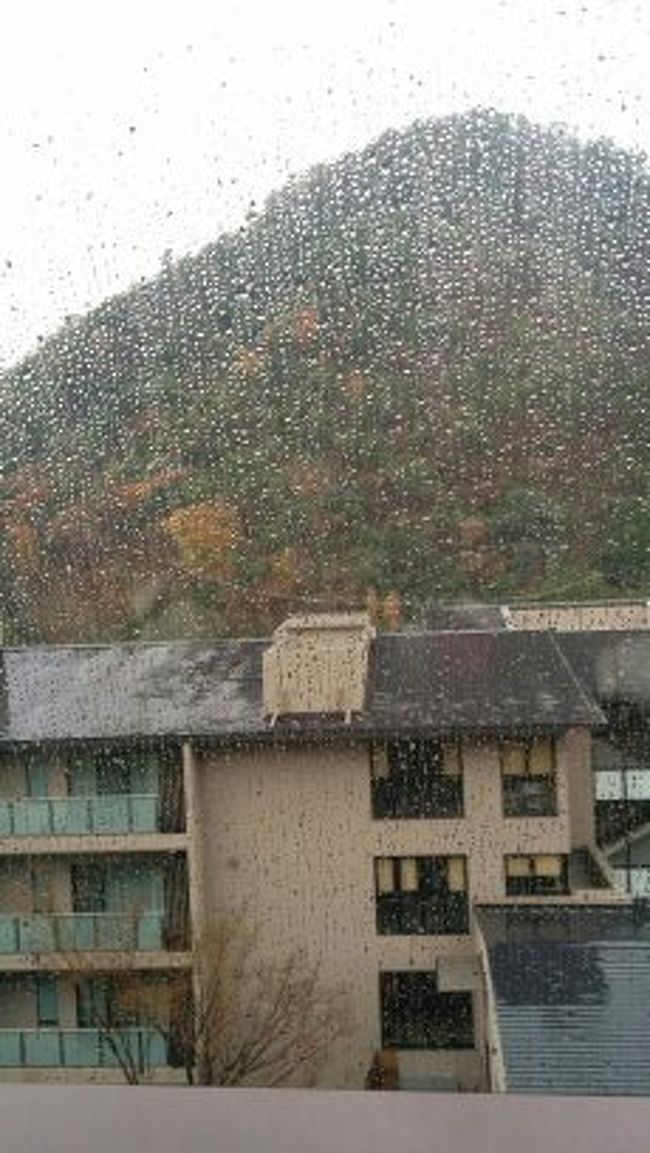 京都鷹峰のふもとに昨年秋に完成した東急ハーベストクラブに行ってきました。ここは金閣寺など神社仏閣が点在するエリアで風光明媚な場所。ハーベストクラブはしょうざんリゾート内にあり、２度目の今回は３５０００坪のしょうざんリゾート内をゆっくり散策しようと思っていましたが、１回目同様雨で、ホテルライフだけを楽しみました。お風呂は天然温泉で木の香りが漂う和風の静かで落ち着いた雰囲気。食事も京野菜や旬の食材でとても美味しく美しい。どこにも出かけなかったけれど、京都をたっぷり楽しむことができました。