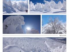 蔵王温泉スキー場　樹氷