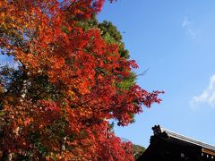 京都　紅葉探訪の旅