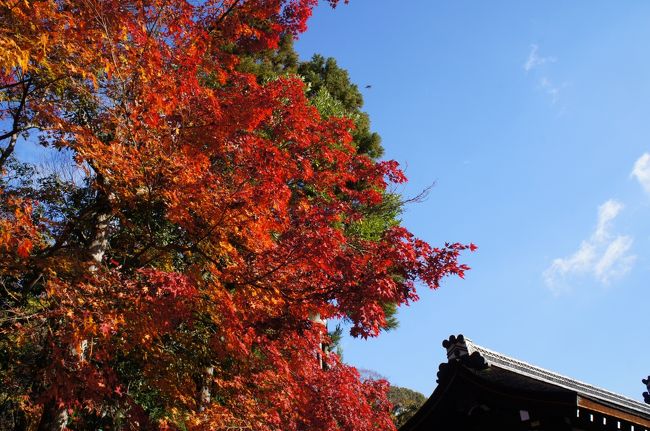 2013年12月にも京都を訪ねていい紅葉が見られたので、今回も母と小旅行です。