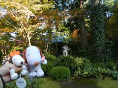 数十年ぶりに訪れた『三千院』は超混雑◆京都・大原で紅葉＆京都市動物園でレサパンコミュ≪その２≫
