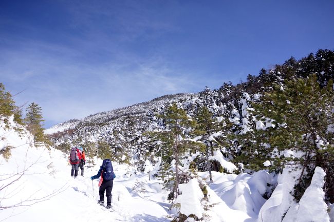 ついに来ました〜、初の雪山！＠八ヶ岳(*´∀｀*)<br />と言ってもピークは目指さず、スノーシューで雪遊びする程度の計画ですけど。<br /><br />１日目：渋の湯→高見石小屋（泊）<br />２日目：高見石→中山→黒百合→渋の湯<br /><br />高見石小屋でスノーシューをレンタルしたかったのですが、<br />土日は小屋主催のスノーシューツアーがあり、その参加者だけでレンタル枠はいっぱい。<br />仕方ないので、事前にモンベルでスノーシューをレンタルして担ぎ上げました。<br /><br />朝４時集合、友達の車で渋の湯に向かいまーす。<br /><br />