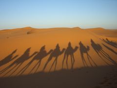 エレガンス的　気ままにモロッコ自由旅　３ｄａｙｓ２ｎｉｇｈｔｓ砂漠ツアーへ編