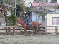 <台北旅行記も製作中だけど、忘れないうちに?!>山中湖御朱印巡り!! ～小室浅間神社編～