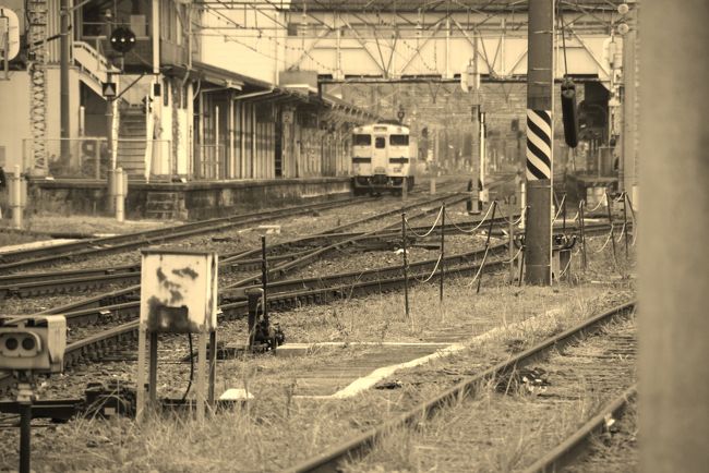 <br />　　熊本市内で路面電車とアオガエルを楽しんだ後<br />　　人吉へと向かう途中、八代駅へ行きます。<br /><br />　　八代はjr駅と肥薩オレンジ鉄道の駅がひっついてある<br />　　これまた楽しい鉄てんこもりの駅。<br /><br />　　ドライブ旅なので鉄道に乗ることはできない、<br />　　どうしても写真だけでも撮りたかったのです。