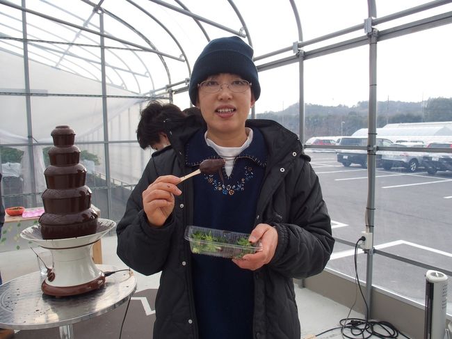 多度みぞのグリーンファームにいちご狩りに出かけ、海部郡蟹江町にも立ち寄りました。<br />14時15分からのチョコレートファウンテンコースのいちご狩りしか予約できなかったので、蟹江町に立ち寄ってからいちご狩りに出かけました。<br />蟹江町歴史民俗資料館はあいにく月曜日休館で、残念ながら入館できず、資料のみいただきました。近くに蟹江城址があり、散策コースになっています。地蔵寺と須成祭りの行われる須成神社・龍照院に立ち寄りました。龍照院は奈良時代に行基菩薩が草創、木曽義仲と巴御前ゆかりの寺として知られています。<br />3月1日蟹江町歴史民俗資料館に再度出かけて、企画展「貝殻からみえる昔の暮らし」、展示物、蟹江町の歴史、郷土の偉人医者・探偵小説家小酒井不木などの展示物を観覧してきました。<br />蟹江歴史民俗資料館など愛知県の博物館・資料館など19か所をめぐるひな祭りスタンプラリーが3月15日日曜日まで開催中です。<br /><br /><br />多度みぞのグリーンファーム　<br />いちご狩り30分食べ放題チョコレートファウンテンコース月・水・土・日限定開催　<br />12月14日〜4月12日まで2,300円　4月13日〜2,000円<br /><br />蟹江町歴史民俗資料館　P無料　入館無料　<br />開館時間9時から17時　月曜日休館<br /><br />　かにえボランティアガイド<br />1.木曽義仲と巴御前ロマンの寺コース（4.7k、約1時間20分） <br />2.寺社・史跡めぐりと温泉コース（6.4k、約1時間40分） <br />3.かくれた歴史の町と温泉コース（6.0k、約1時間30分） <br />4.水郷と文学の里散策コース（6.1k、約1時間30分）<br /><br /><br /><br />