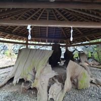 《　関西うろうろ　その２　》　三輪大神神社へ&宝塚観劇の旅の巻