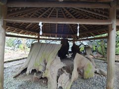 《　関西うろうろ　その２　》　三輪大神神社へ&宝塚観劇の旅の巻