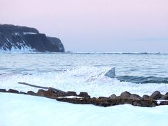 迫力の流氷と美味なる三大ガニを食す３日間の旅　二日目