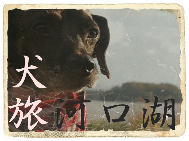 愛犬Ｋｅｎと旅する企画『 犬旅 』<br /><br />第１７回は、河口湖。<br />首都高の時点で、恐ろしいほどの事故渋滞。<br />なかなか車は進まない。