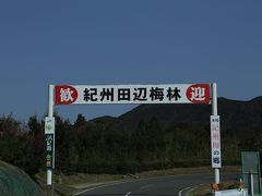 旅するイルカ♪　和歌山　田辺梅林、みなべ梅林へ