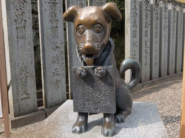 東京から日帰り 23 香川県 金刀比羅宮 銭形砂絵 琴平 金刀比羅宮周辺 香川県 の旅行記 ブログ By Worldhusiastさん フォートラベル 東京から日帰り 23 香川県 金刀比羅宮 銭形砂絵 琴平 金刀比羅宮周辺 香川県 の旅行記 ブログ By Worldhusiastさん フォートラベル