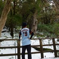 冬の屋久島に縄文杉を見に行った。