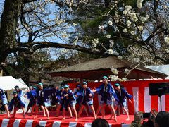 横浜　大倉山公園梅林　観梅会　２０１５年