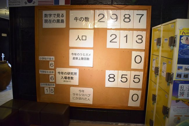 黒島は周囲12km程のハートの形をした平らな島です。 <br />人の10倍の牛がいて島の集落を除いた殆どが牧場です。<br /><br />東筋集落から黒島港までの道は石垣や赤瓦屋根の景観が美しく離島には珍しく日本の道100選にも選ばれています。 <br /><br />実際に島内を散策してみると、のどかな離島。<br />ここで育った牛が石垣牛として石垣島へ渡り、松阪牛などの高級和牛にもなることもある和牛のルーツの島です。<br /><br />黒島<br />http://www.town.taketomi.lg.jp/islands/index.php?content_id=4<br /><br />■2/14（土）<br />ホテル→石垣港（八重山観光フェリー）8：00→黒島港8：40→<br />レンタサイクル→島内観光→黒島港（八重山観光フェリー）11：30→石垣港12：10→ホテルチューリップ<br /><br />■■4泊5日：天気も強運で味方した八重山列島巡り■■<br /><br />1日目：与那国島https://ssl.4travel.jp/tcs/t/editalbum/edit/10984144/<br /><br />2日目：竹富島Vol.1≪ビーチ編≫http://4travel.jp/travelogue/10984575<br /><br />2日目：竹富島Vol2　≪島内編≫http://4travel.jp/travelogue/10984696<br /><br />2日目：竹富島Vol.3 ≪シーサー編≫http://4travel.jp/travelogue/10984736<br /><br />2日目：竹富島Vol.4 ≪集落編≫http://4travel.jp/travelogue/10985076<br /><br />3日目：波照間島Vol.1≪島内編≫http://4travel.jp/travelogue/10985445<br /><br />3日目：波照間島Vol.2 ≪最南端到達編≫http://4travel.jp/travelogue/10985504<br /><br />3日目：波照間島Vol.3　≪ニシ浜ビーチ≫http://4travel.jp/travelogue/10986560<br /><br />4日目〜最終日：石垣島内観光http://4travel.jp/travelogue/10987416<br /><br /><br />