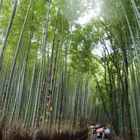 京都を楽しむ京都の旅　後半戦