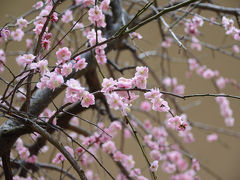 名城公園に遊ぶ