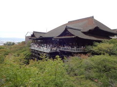 【京都】修学旅行ぶりの京都へ