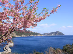 「四浦半島の河津桜」と「うすき雛めぐり」　