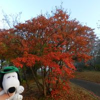 『ホテル蒜山ヒルズ』宿泊記◆2014年10月／山歩き仲間と紅葉の大山へ≪プロローグ≫