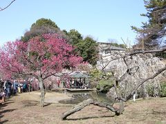 横浜・大倉山観梅会