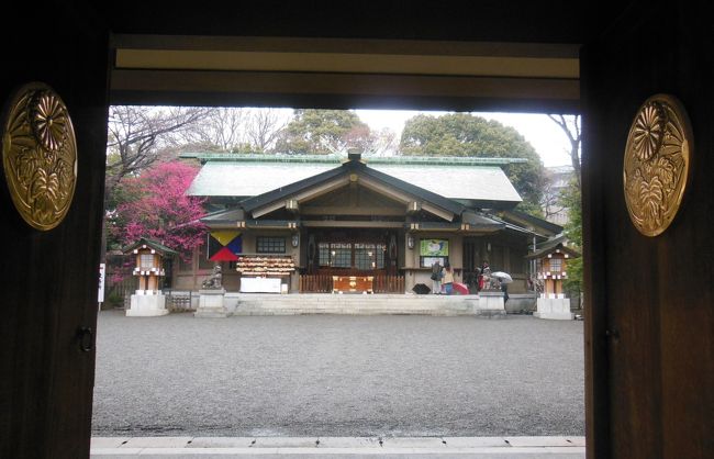 １日は東郷神社～代々木競技場の中を通りNHKまで歩きました。<br />代々木公園のイベントは雨のためか・・・早めに終わってましたね。