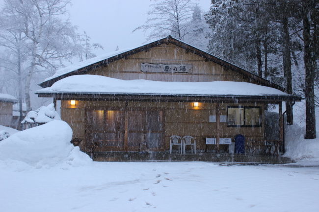 山ノ内町･スノーモンキィーの地獄谷温泉そして信州高山の松川渓谷雷滝近くの滝の湯、<br />今回は同じ松川渓谷の一番奥で群馬県の万座温泉手前の七味温泉･恵の湯です。<br />此処は白濁の湯で万座温泉の様に銅貨（１０円硬貨）が黒く変色します腕時計は外します、<br />昔　<br />万座からツァーで下り高山温泉からバスで須坂より長野電鉄で家まで帰った事を思い出しました。<br />此の頃は七味温泉は冬季閉鎖で松川の河原に小さな小屋が2~3軒あっただけの秘境でしたし山田まで殆んど家は無く山田牧場までの道は有ったが冬の除雪が無く川沿いをスキーで下ったが山田温泉とスキー場が有ったので只其処を目標に下ったのを覚えてます、<br />以外に時間が早く辿り付きチョトビックリでした（予定はPM5:00のバスでしたがPM2;30に付いた）最初可なりキツイ斜面を下ったのと3月初旬で山は深雪で無く山スキー板が必要が無い位の氷雪で早く滑れたし始めてのコースで先を急いだ事から早かったのだろう。<br />今は此のコース山が荒れてブッシュが酷く危険なコースです。