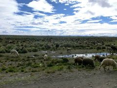 ウユニまでの道程 10-hour drive to UYUNI