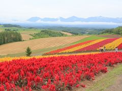 レンタカー＆列車で周る北海道の旅（リベンジ美瑛編）