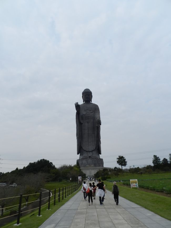 「国営ひたち海浜公園」から牛久市へと向かいました。<br />他の方の旅行記で牛久に大仏様があるということを知って、茨城県に行く機会があれば訪れてみようと思っていました。<br />地上120mも背丈があり世界一高い大仏様で、ギネスにも認定されているという『牛久大仏』、その胎内にも入れるというのでどんな風景が見られるか楽しみにしていました!