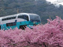 「河津桜トレイン」に乗り、早春のお花見（静岡）