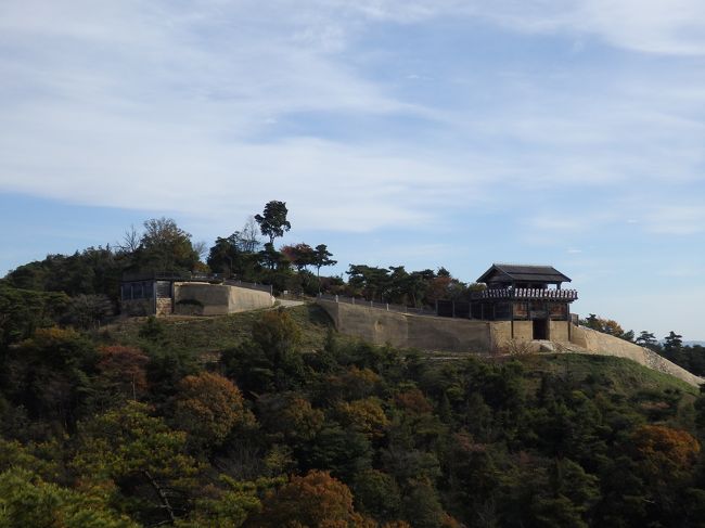 趣味の一つ&quot;城巡り&quot;。<br />もう一つの趣味の海外旅行と仕事との隙間で時間を作って巡っているため、行くときは弾丸で巡ります。<br />今回は岡山県と香川県にある「日本100名城」のうち、岡山城→丸亀城→高松城→鬼ノ城→備中松山城→津山城と、6箇所を2日間で巡りました！<br /><br />東京・羽田空港から岡山空港へ飛び、空港で借りたレンタカーでとにかく巡って、また岡山空港から東京へ帰りました。