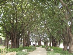 春節の広東省（上）　②　広州越秀の公園