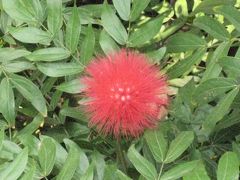 春節の広東省（上）　③　白雲山と雲台花園