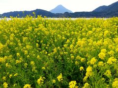 2015鹿児島・指宿へ温泉プール入りに行った