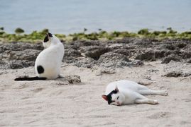 ★街十色～ 竹富島 のいろ ジャジーいろ②★