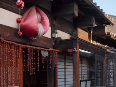 桜咲く「記紀万葉のふるさと＝奈良」その④の３　開化天皇陵と奈良の町散策
