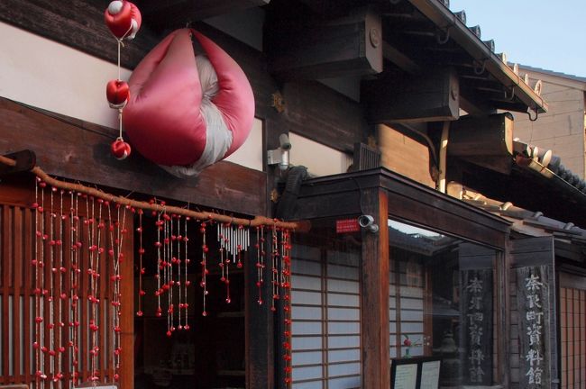 桜咲く「記紀万葉のふるさと＝奈良」その④の３　開化天皇陵と奈良の町散策