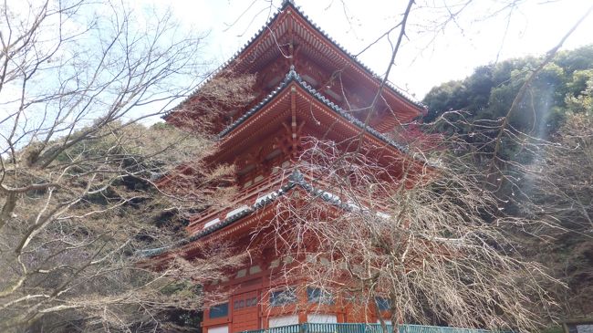 九州西国33か所<br />16番 本吉山清水寺<br /><br />思わぬ梅との出会いをして<br />気持ちも軽やか<br /><br />数年前に秋の紅葉の頃に訪れた清水寺へ<br />