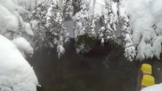 厳しい冬のなか、川湯温泉を楽しみました。<br />今回は温泉街の硫黄温泉ではなく、駅前のアルカリ温泉（無色透明）<br />に行きました。<br />ワカサギ釣りの帰りに宿泊しました。