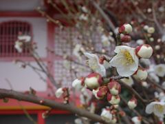 駆け足　☆　津～名古屋～伊勢の旅　☆　津編